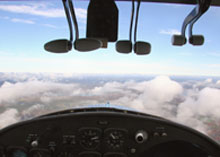 the View